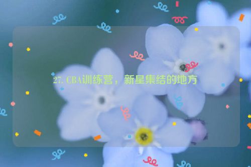 27. CBA训练营，新星集结的地方