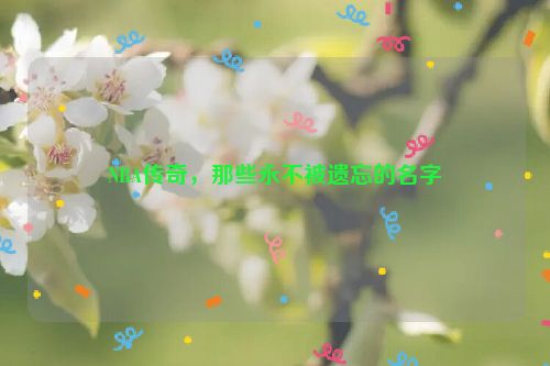 NBA传奇，那些永不被遗忘的名字