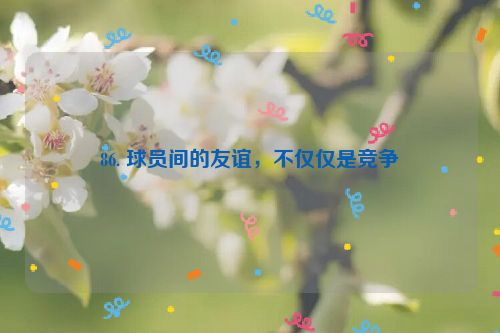 86. 球员间的友谊，不仅仅是竞争