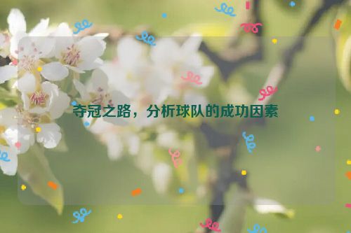 夺冠之路，分析球队的成功因素