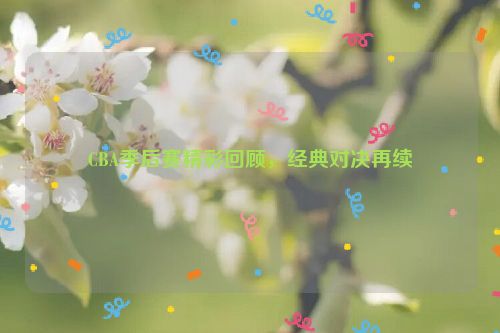 CBA季后赛精彩回顾，经典对决再续