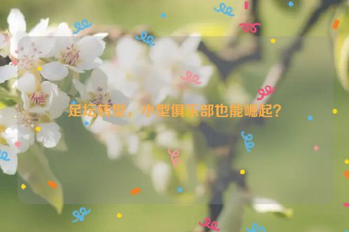 足坛转型，小型俱乐部也能崛起？