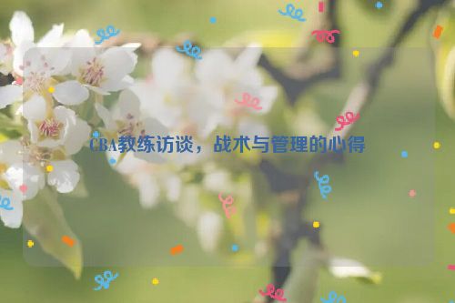 CBA教练访谈，战术与管理的心得