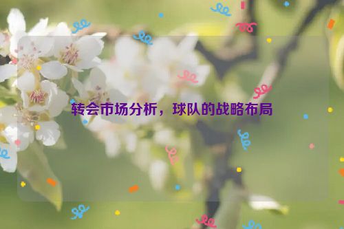 转会市场分析，球队的战略布局