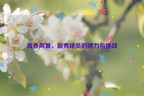 青春风暴，新秀球员的潜力与挑战